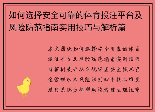 如何选择安全可靠的体育投注平台及风险防范指南实用技巧与解析篇
